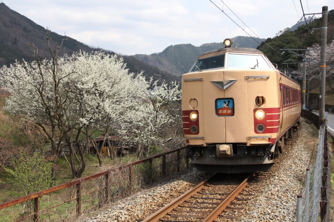 485・489系から変じた183系直流特急形電車「B編成（8）ラストラン